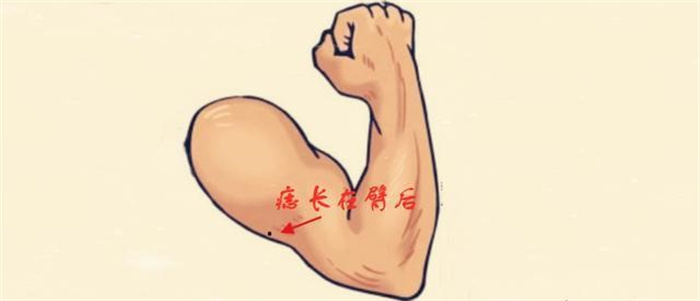 ϲĴ  鷳 һ