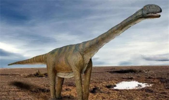 ʷǰ֪6־Ϳ