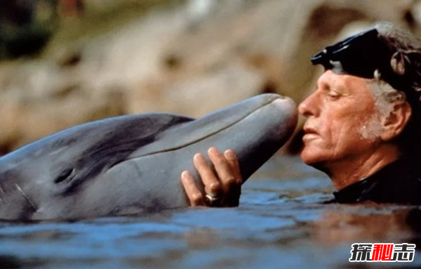 海豚为什么会救人?关于海豚的十大小知识(原因揭秘)