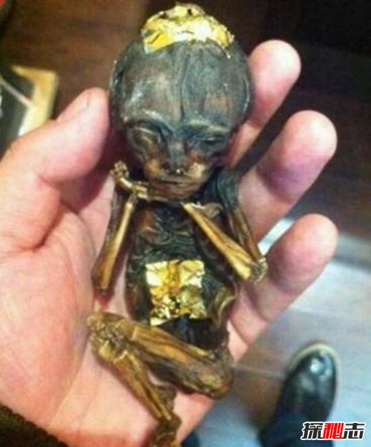 镀金婴尸制作过程将死婴干尸用金箔包裹辟邪手段残忍