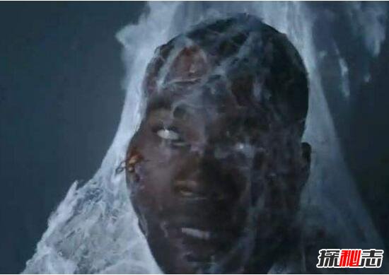 欧美恐怖片排行榜前十名