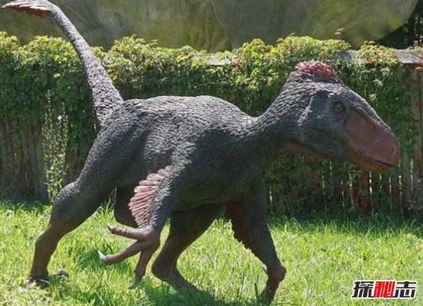 世界上什么恐龙最可怕?盘点世界上10大最可怕的恐龙(带图)
