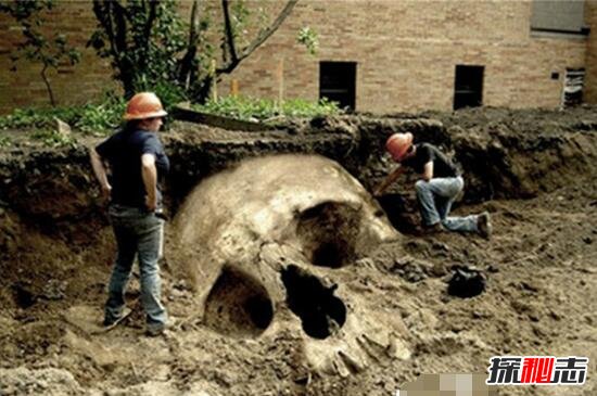 考古界不敢公开的谜团，考古发现5米巨人遗骸吓坏世人