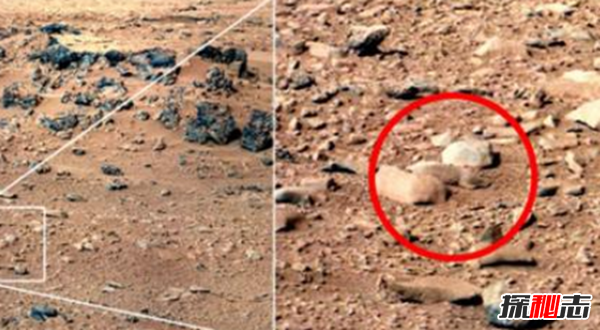 火星上的狮身人面像之谜,火星又一处古文明痕迹(奇特构造)