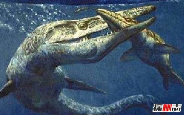 水中最强的恐龙排行榜,沧龙水中霸主无敌