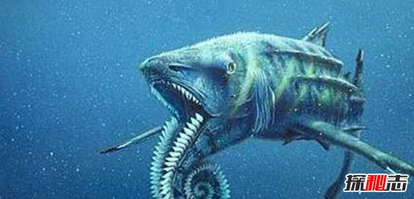 海洋十大霸主排名,第一名沧龙是海洋里无敌的存在