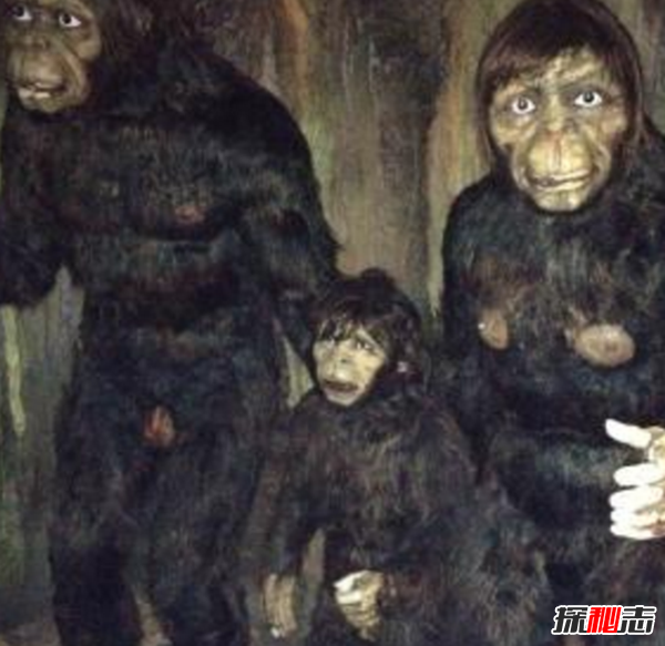 14,神农架野人神秘事件