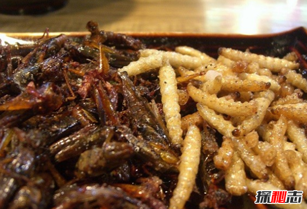 吃过吗?十大最火最奇怪的油炸食品,油炸竹虫在泰国极受欢迎