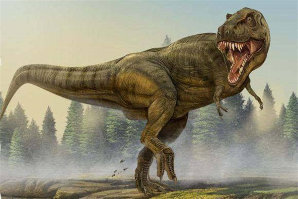 它活在侏罗纪时期,也是那个时代食肉恐龙之一.长约10米,重达5吨.