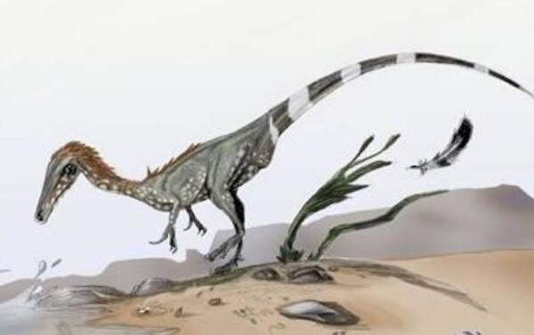 中国猎龙：中国辽宁小型恐龙（长1米/恐龙