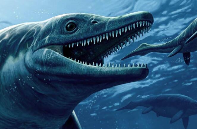 海豚的祖宗鱼龙,白垩纪最强水生食肉动物(身长达23米)