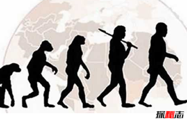 进化论误导了整个人类?十大全新的进化论观点