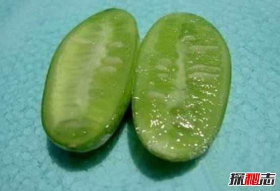 世界上最小的西瓜