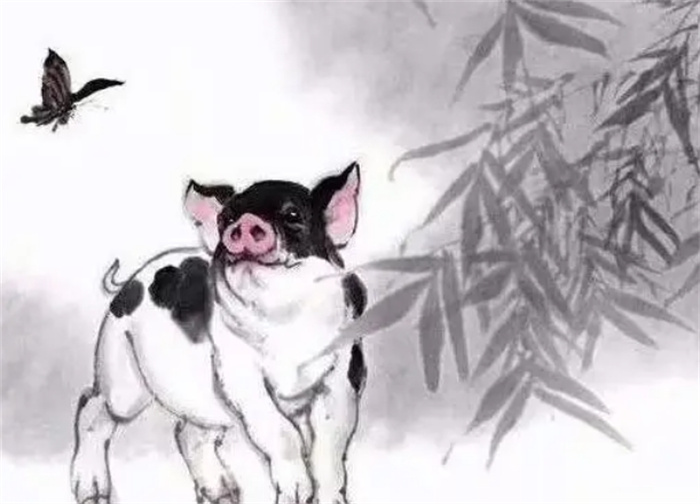 Фʲô˵شУ