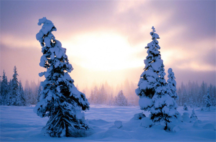 世界上降雪最多的地方 常年白雪覆盖（帕拉代斯山）