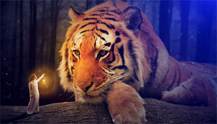 һ����Ǯ�������Ф ΪǮ���Է������ߣ�������Ф��