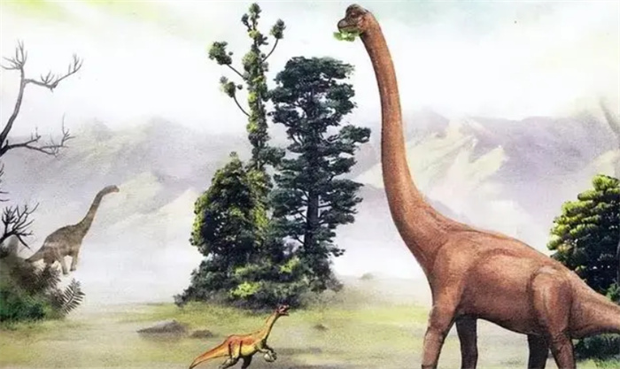 为什么恐龙上亿年都没进化出智慧 （生物和环境因素决定的）