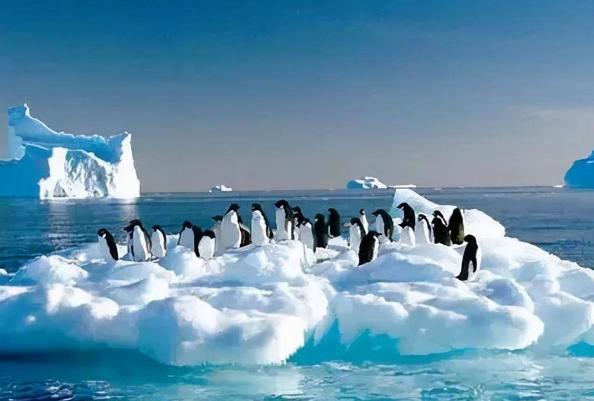 世界上最冷的地方 最低气温零下94.5℃(南极洲)
