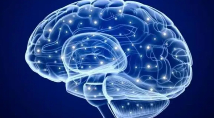 关于人类大脑的9个烧脑的问题有哪些（人的记忆由什么构成）