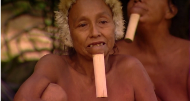 亚马逊下巴有一根棍子的部落 经常拿猴脑当食物（亚马逊部落）