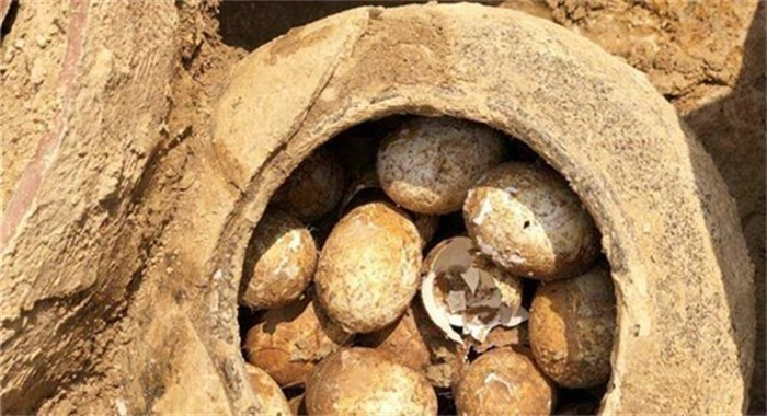 考古专家在考古时，为何害怕看到鸡蛋？