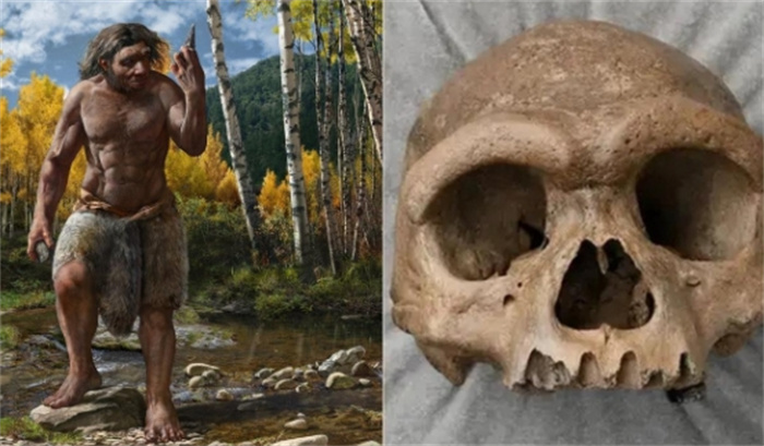 人类起源被改写？中国发现的新人种“龙人”，会是中国人祖先吗？