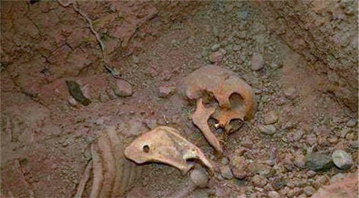 考古专家  看到古墓中出现鸡蛋手就发抖  难道真有那么恐怖