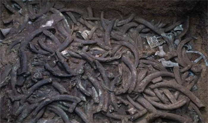 四川发现三千年古墓遗址，出土数吨象牙，专家挖到一半赶紧埋回去