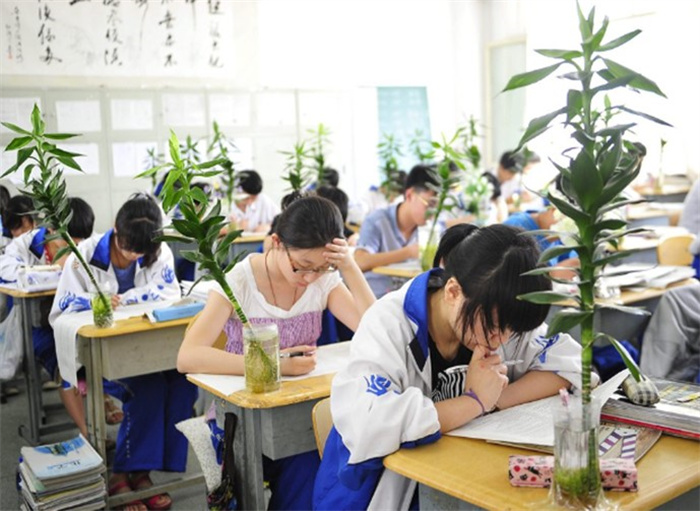 家长穿红旗袍图好兆头 祝愿金榜题名