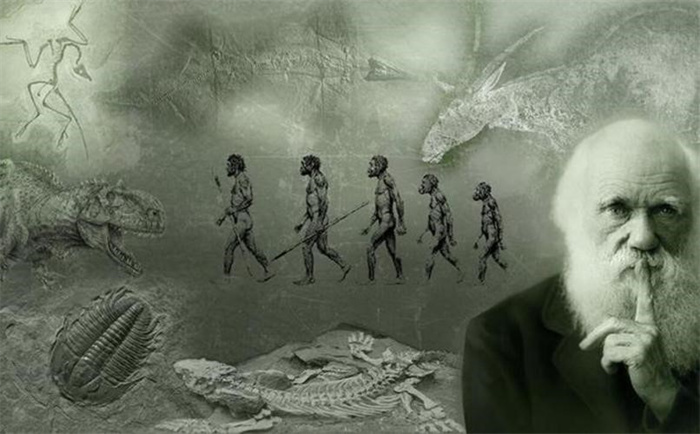 广西挖出20万年前的“人类” 日本教授研究后 这是我们的祖先
