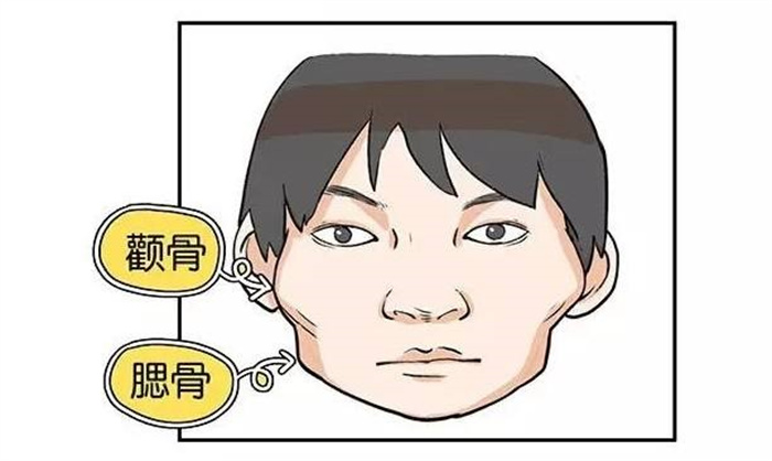 这种面相的人性格强势  但事业运好  你有吗