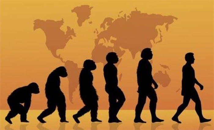 进化论未解之谜  很多人不相信自己是猴子进化的