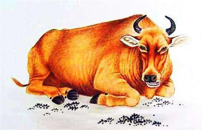 4Ф۹ ϧ и