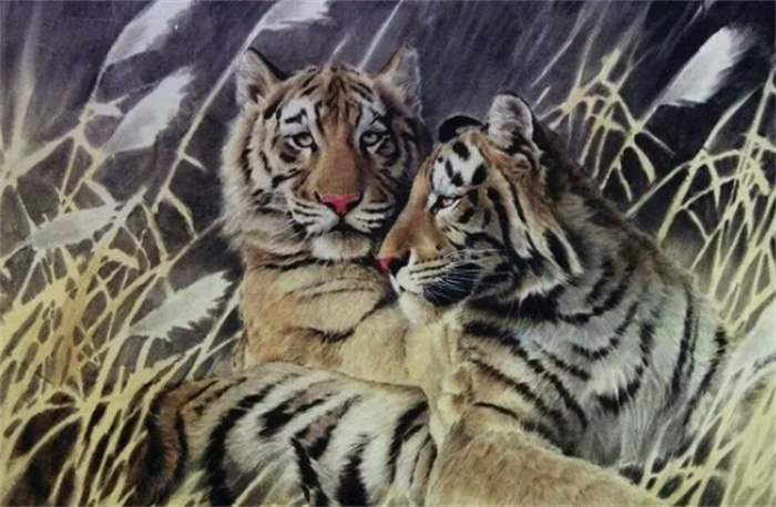 ���ܽ���ϲ�����ŵ���Ф�����˼���