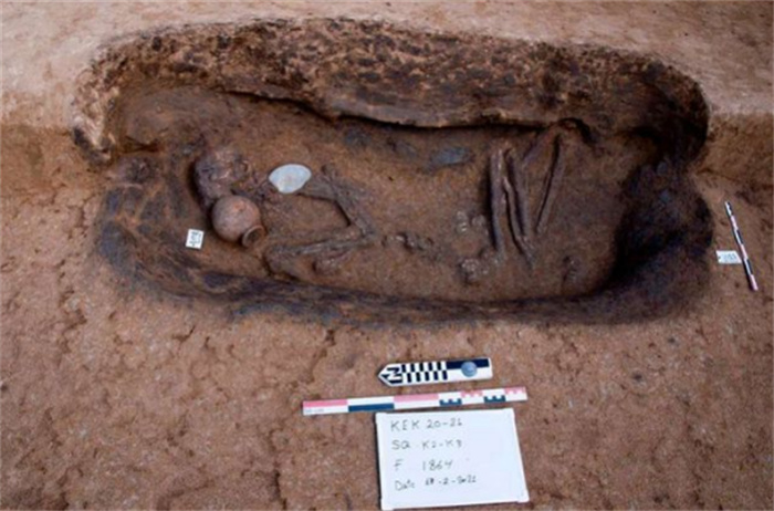 考古挖掘中发现的尸体 最后会怎么处理（考古挖掘）