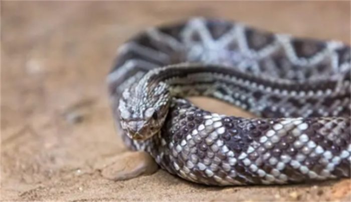 繫ϵͽϳ8β  ʶ