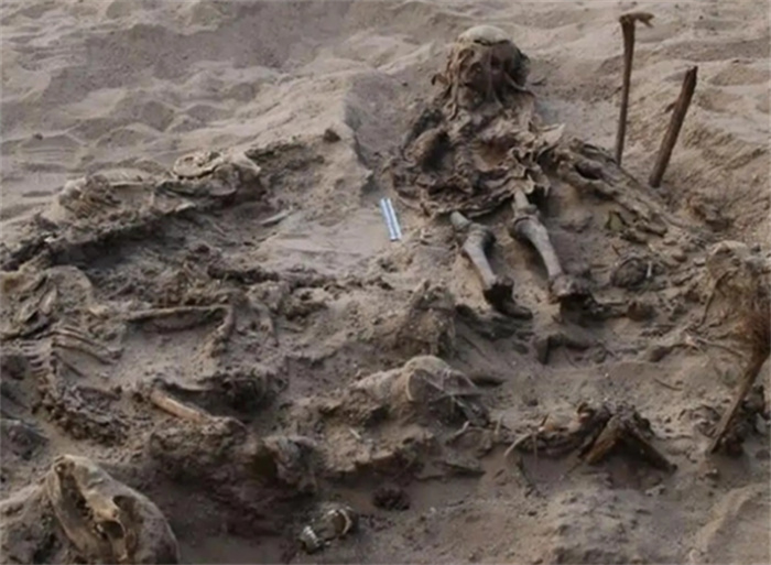 埃及发现了一座古墓 把狗和孩子一起埋葬宗（宗教祭祀）