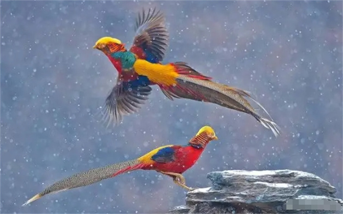 츹ʵ˾ȣԶ