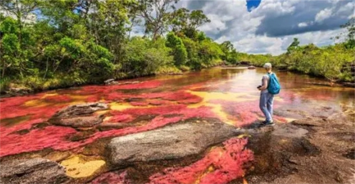 奇景：全世界独一无二的五色河：哥伦比亚壮观的“液体彩虹”