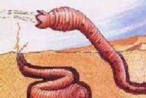 沙漠十大恐怖动物 蒙古死亡蠕虫会释放电流,可顷刻毙命!