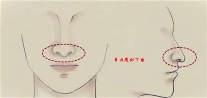 ¿ࡱ  겻Ů  ¿