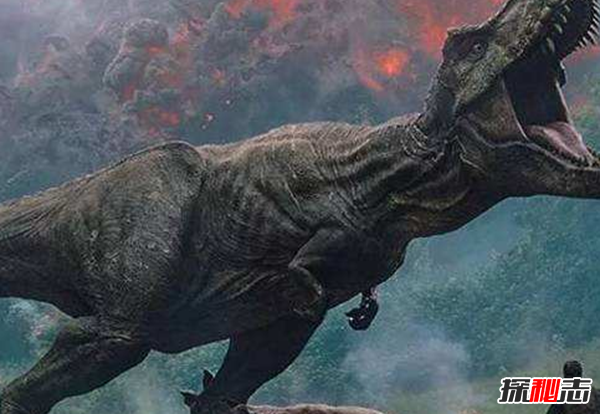 恐龙其实没有灭绝?关于恐龙的10大惊人真相揭秘