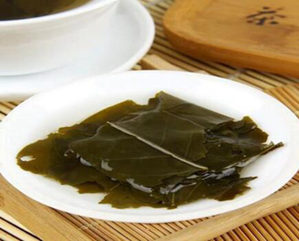 毛冬青可以长期喝吗 不能(长期喝可能影响肝肾功能)(图5)