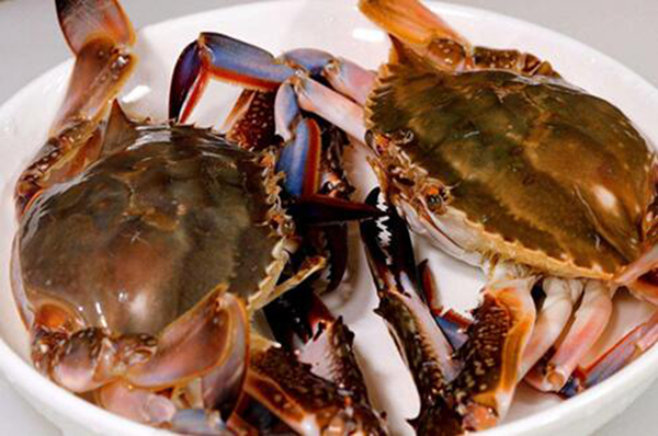 木耳和螃蟹能一起吃吗 两者一起吃有利于身体健康(图1)