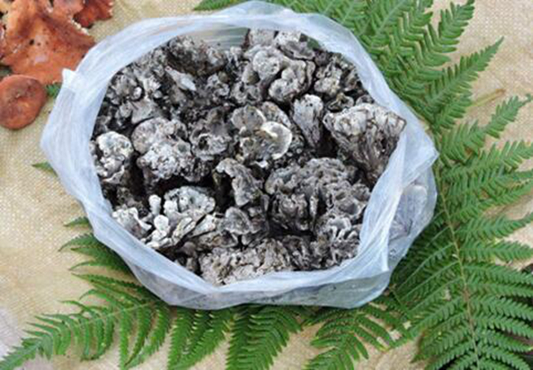 干巴菌如何进行过油保存 先清洗再油炸成功形成保护层(图2)