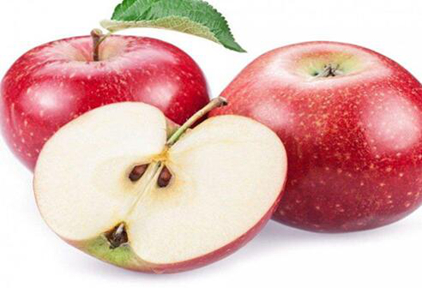 苹果心烂了还能吃吗 有很多细菌影响身体健康（不能吃）(图3)