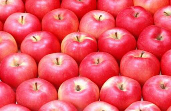 苹果心烂了还能吃吗 有很多细菌影响身体健康（不能吃）(图4)