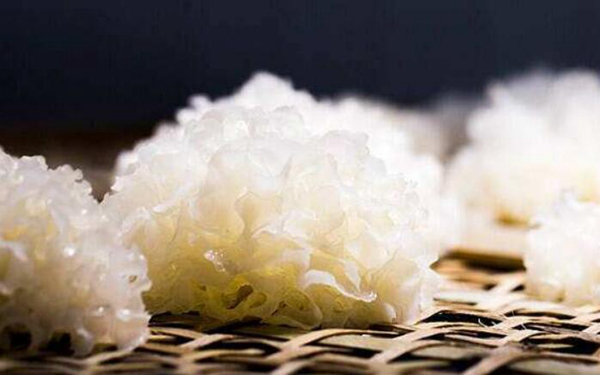银耳过夜放冰箱能吃吗 可以吃但最好别吃（可能有毒）(图6)