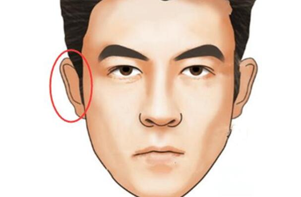 男人耳朵富贵相图片