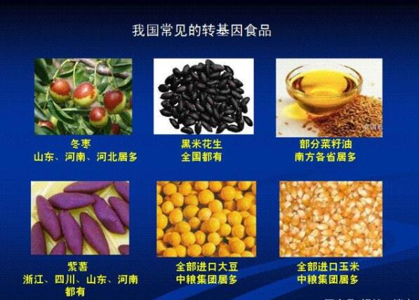 转基因食品的利弊图片